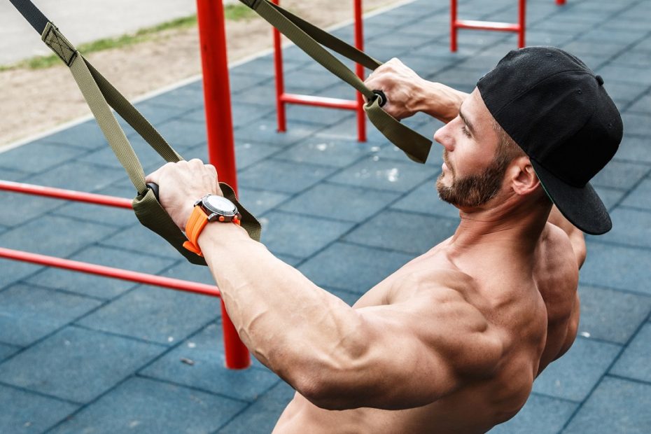 bodyweight row progression